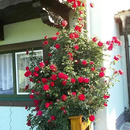 招待所 Gaestehaus Zum Tauern