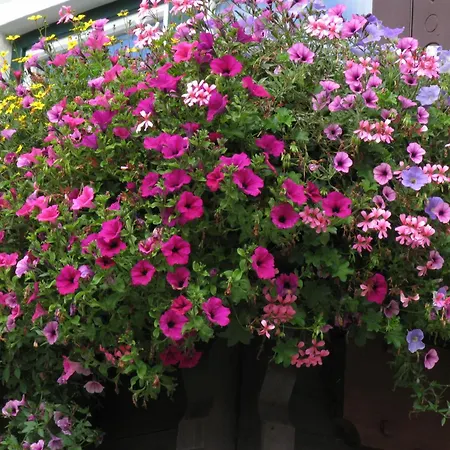 Gaestehaus Zum Tauern Gasthof 3*