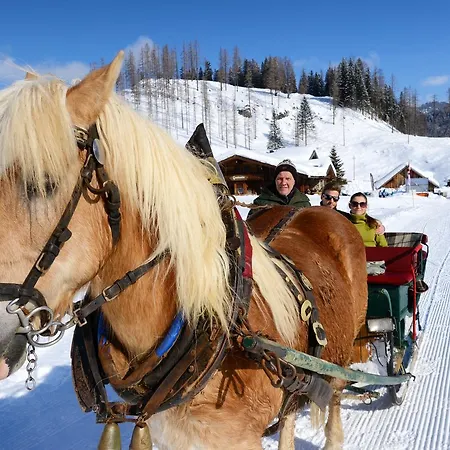 Guest house Gaestehaus Zum Tauern 3*