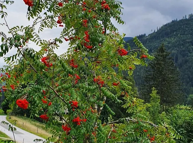 Gaestehaus Zum Tauern 3* Radstadt