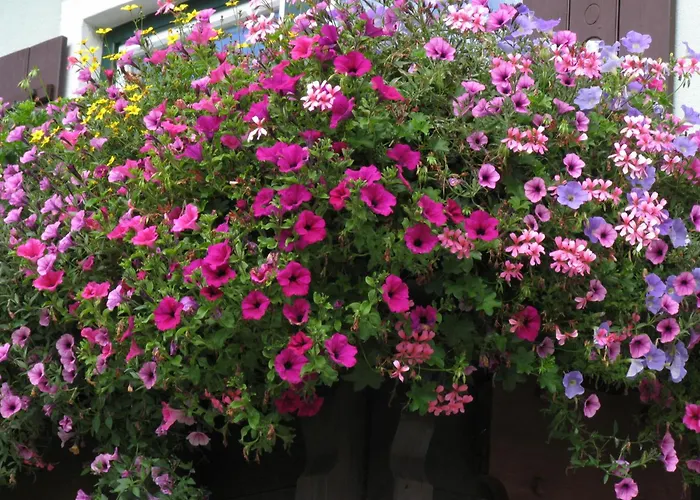 Gaestehaus Zum Tauern Pensión 3*