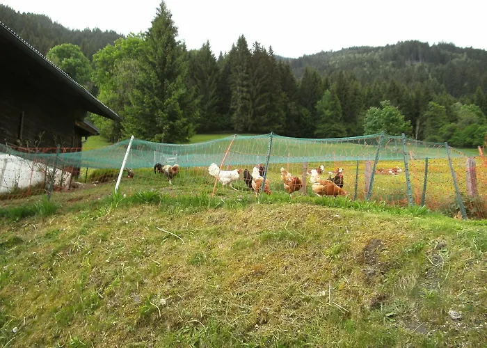 Gaestehaus Zum Tauern Pensión